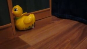 Игрушка музыкальная уточка, свет, батарейки, каталка
