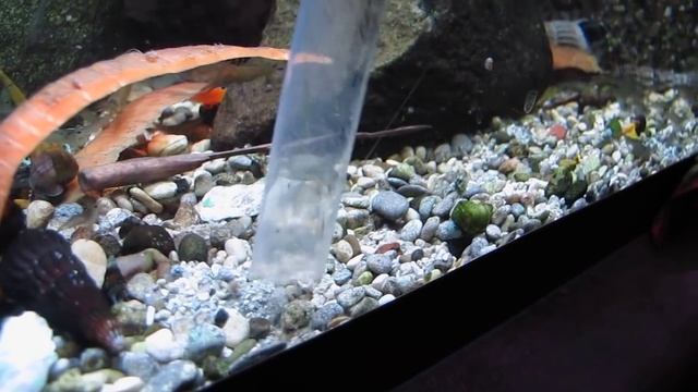 Как я сифоню грунт 07 08 12 смотреть онлайн