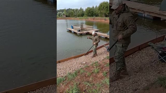 Вываживание форели. Рыбалка в ДУРЫКИНО