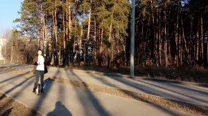 Моноколесо Segway Ninebot S2