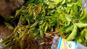 Походная баня.