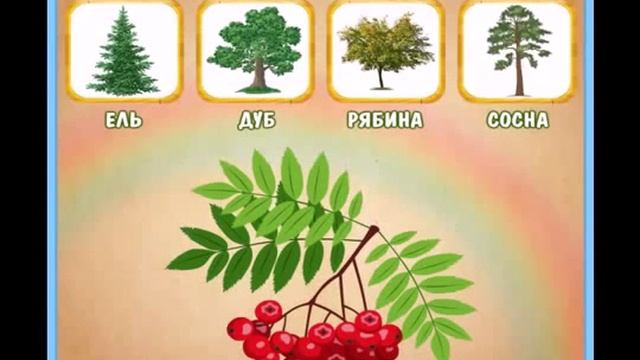 Развивающие мультики для детей учим СЛОВА через КАРТИНКИ деревья