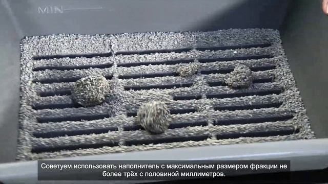 SMART SIFT и TRIOLET, "Сибирская кошка" смотреть онлайн