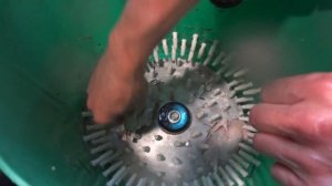 Самодельная перосъёмная машина для перепелов. Первый пуск.