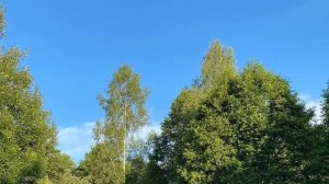 Отдых с палаткой. Смоленское поозерье. Озеро Дго. Август 2023 года, ч. 2