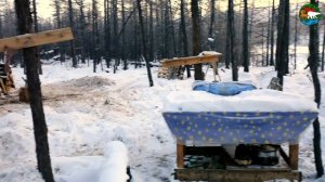 Песец- дебошир. Плато Путорана. Озеро Аян / Arctic Fox, The Little Rascal. Siberia