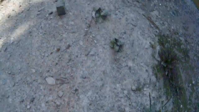 Run guys,jump guys! смотреть онлайн