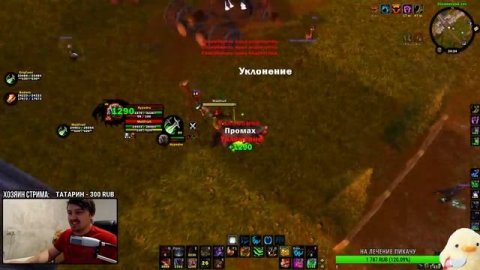 2х2 ферал\шд, ферал ротация