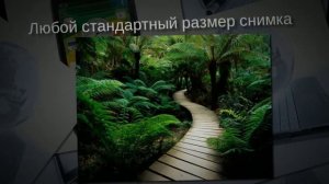 Печать фотографий за 4 рубля