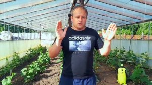 Микроэлементы по листу- также очень важны