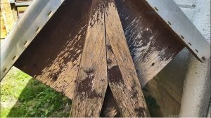 Что общего у осиного гнезда, и моего улья "Ромб".