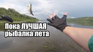 ОТОРВАЛСЯ по поклевкам жереха. Пока ЛУЧШАЯ рыбалка лета! Тейл-спиннер делает рыбалку!