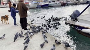 Балаклава в феврале 2023 года. Узнаем изменился ли город Крыма, как идет реконструкция в Балаклаве.