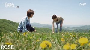 Не заметил, как влюбился💕Клип к дораме: "Золушка и четыре рыцаря"
