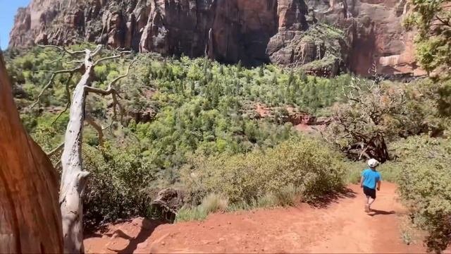 Один из самых красивых национальных парков в США. ZION PARK.