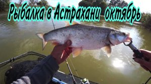 Рыбалка в Астрахани осенью живём в палатке. Ловим судака, жереха в штормовой ветер.