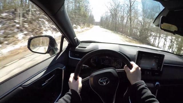 Toyota RAV4 Selection Platinum 2.5 222 KM Hybrid - Test | 4K смотреть онлайн