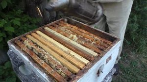 почему МЁД не ЗАПЕЧАТАН и что делать.