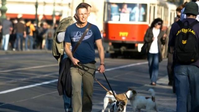 Chris Rea - Red, Red Shoes... смотреть онлайн