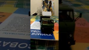 обзор МаЗ 504 ssm и п/п МаЗ 5232В АиСт 1:43