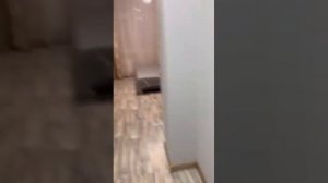 г.Краснодар, Парк Галицкого, стадион Краснодар, аренда квартиры посуточно