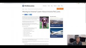 Pets in Arizona - Cats, Dogs, Exotic Animals