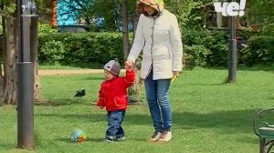 Почему в городах исчезают воробьи