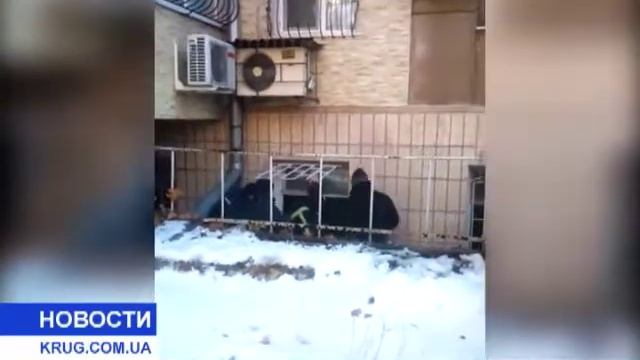 Украли подвал смотреть онлайн