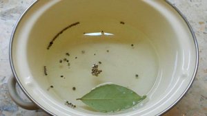 Лесные грибы маринованные за 12 часов