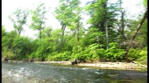 Сплав по реке