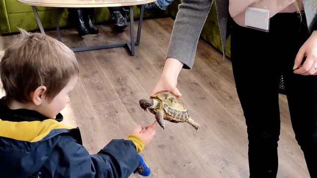 В гостях у приюта для животных смотреть онлайн