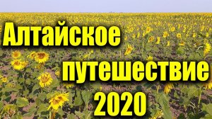 Отдых. Алтайский край. Яровое 2020