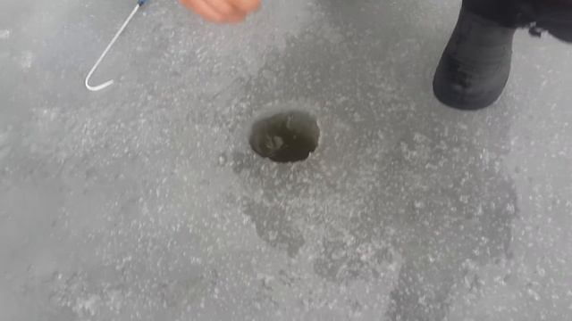 Зимняя рыбалка на жерлицы.Ветали в Зозове(1) смотреть онлайн