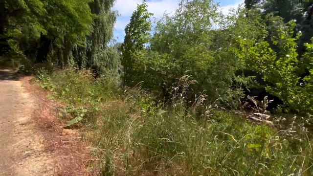 ЕСЛИ ТАК БУДЕТ ДАЛЬШЕ ОСТАНЕМСЯ БЕЗ ВОДЫ смотреть онлайн