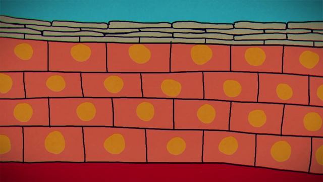 Edu: Почему появляется перхоть и как от неё избавиться смотреть онлайн