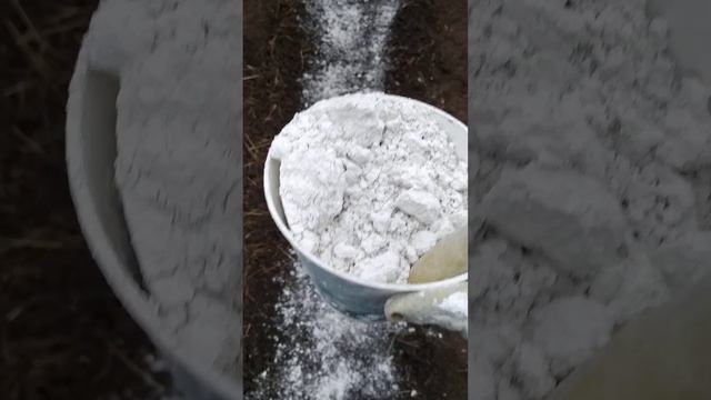 Кислые почвы  #советысадоводам #советыогородникам
