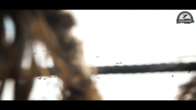 Охота на гуся. Рязанская область (открытие охоты) смотреть онлайн