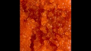 Красная икра чавычи