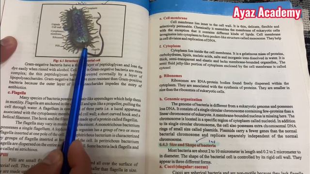 11th Class Biology Most important Questions 2023 | 11th Class Biology Guess Paper 2023 смотреть онлайн