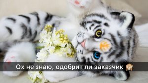Ох не знаю, одобрит ли заказчик?