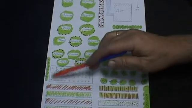 Валерий Панов: Как разместить растения на участке? (часть 1) смотреть онлайн