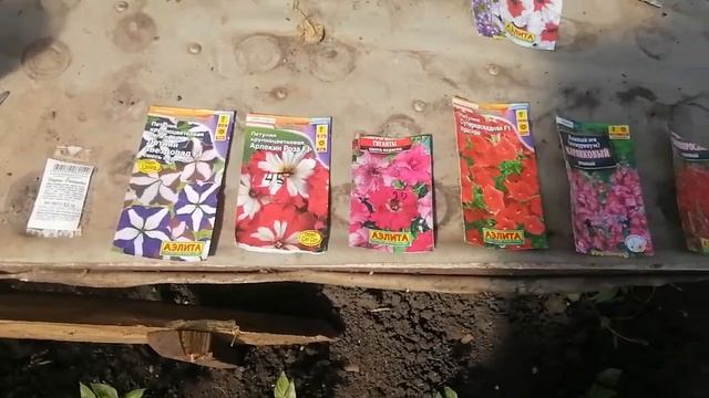 Какие цветы сажать на продажу. смотреть онлайн