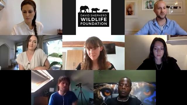 Wildlife Artivism The Art of Story Telling720p смотреть онлайн