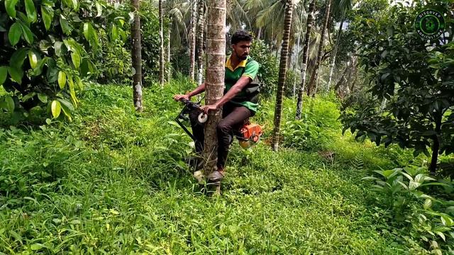 Arecanut Tree Climbing Machine  Betel nut  Areca nut Tree Climber Bike