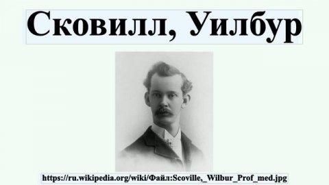 Сковилл, Уилбур