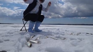 За селёдкой по рыхлому льду / рыбалка в апреле / fishing
