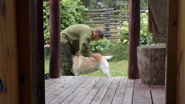 Сударыня! Я к вашим услугам! смотреть онлайн