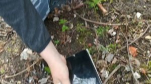 Проверяем приложение ”металлоискатель„ на телефон..mp4