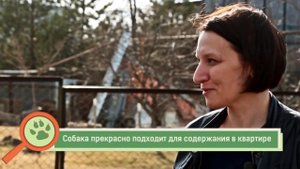 Ка де Бо. ZooPlace.Ru