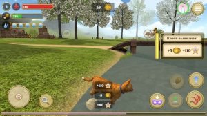 Симулятор КОТА и КОШКИ #1 Мышь и паук с Зайцем против Кида на Пурумчата